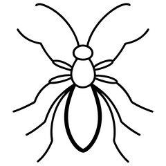 Elegant Aphid Line Drawing