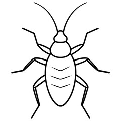 Elegant Aphid Line Drawing