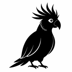 Elegant Black Cockatoo Outline