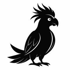 Elegant Black Cockatoo Outline