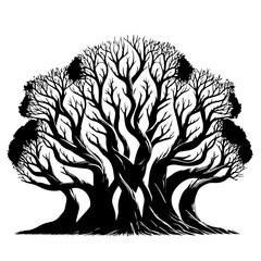 Black Tree Branch Silhouettes Bare Branch Vector Illustrations