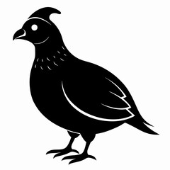 Elegant Black Quail Silhouette Art