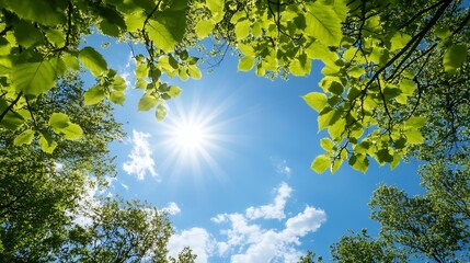 Bright sunlight streams through lush green leaves of trees, creating a vibrant canopy against a clear blue sky with fluffy white clouds. A cheerful summer scene. : Generative AI