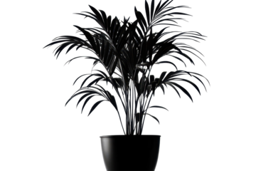 Plant silhouette brings calm minimalist vibes with natural form perfect for interiors or nature themes
