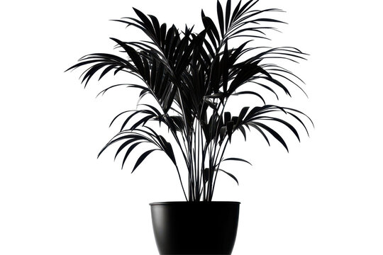 Fototapeta Plant silhouette brings calm minimalist vibes with natural form perfect for interiors or nature themes