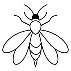 Elegant Firefly Outline Illustration