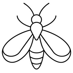 Elegant Firefly Outline Illustration