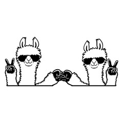 Fototapeta premium 2 Llamas Team Friends Sunglasses Peace Fist Pump Isolated Vector Graphic Design Illustration 