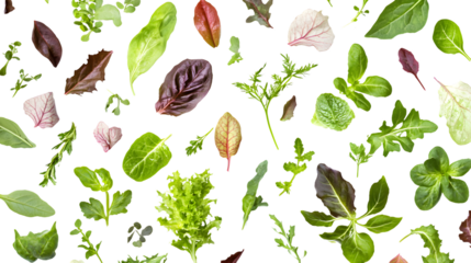 Mesclun Mix Salad Leaves for Healthy Meal Prep and Fresh Summer Salads