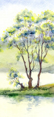 Watercolor landscape. Trees by the lake