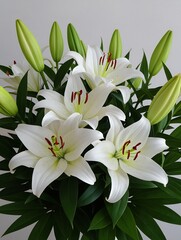 Obraz premium white lilies close up