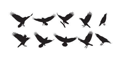 Bird Silhouettes in Flight � Wings Extended in Natural Flying Postures Vector Illustration Set