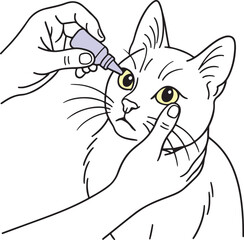 Cat eyedrops vector line drawing illustration
