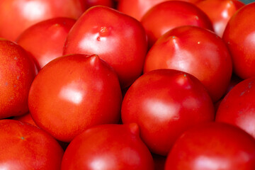 Freshly harvested ripe tomato cluster, showing vibrant red color and smooth texture, perfect for culinary or nutritional themes