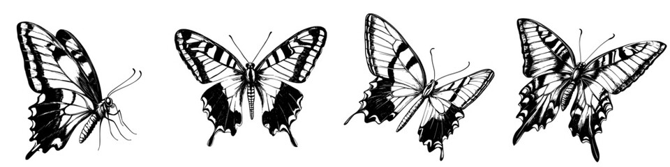 Vector black icon of beautiful butterflies in various styles on a flat background for design and decoration purposes