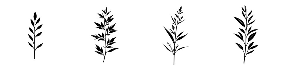 Flat black icons of various plant stems arranged in a row showcasing simple botanical design elements for illustration and decoration