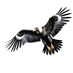 Obraz premium eagle-flying-bird-wingspan-wildlife-animal-illustration-isolated-transparent-background