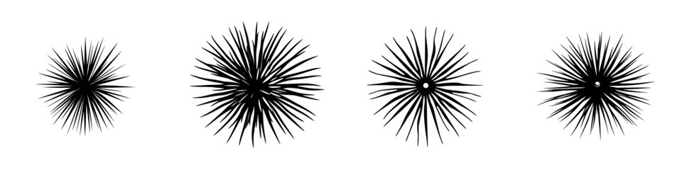 Obraz premium Black icon of starburst shapes representing dynamic energy and movement in design applications