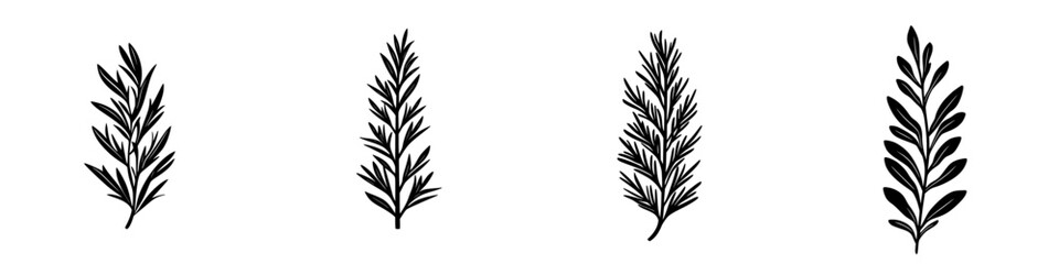 Flat black icon of various sprigs representing natural elements often found in cuisine and decoration