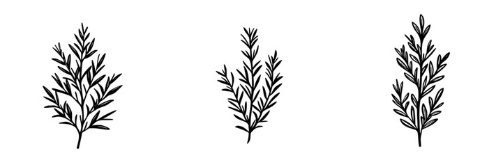 Detailed flat black icon of three herb sprigs illustrating natural elements in botanical design