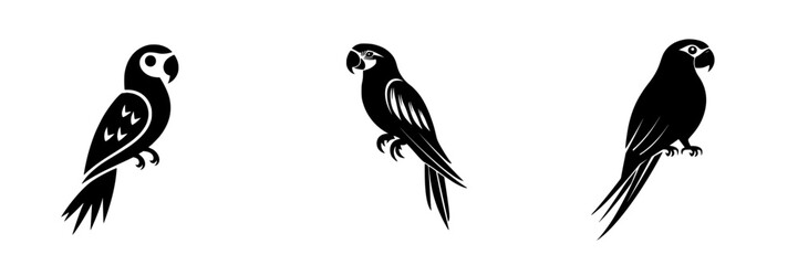Fototapeta premium Flat black icon representing three stylized parrots in various poses isolated on a white background