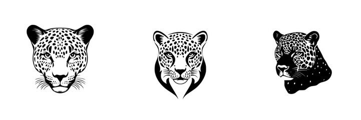 Detailed black icon representations of leopards showcasing their unique features and attributes in a flat design