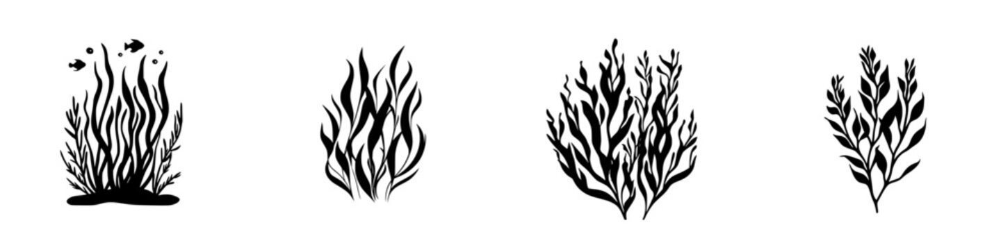 Collection of flat black icon designs representing various aquatic plants and underwater flora
