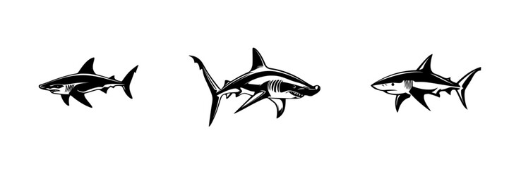 shark, fish, sea, animal, vector, white, isolated, ocean, 