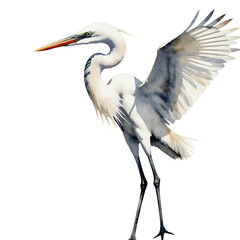 Fototapeta premium Great-Egret-Bird-Watercolor-Painting-Wildlife-Art-Nature-Image