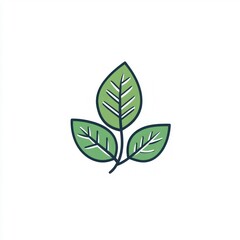 Simple illustration of three leaves