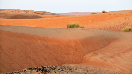 Dunes of Rub Al Khali desert. Wahiba Sands. Sultanate of Oman.