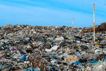 Vast landfill site with piles of unsorted waste against a clear blue sky, seagulls flying overhead, environment pollution