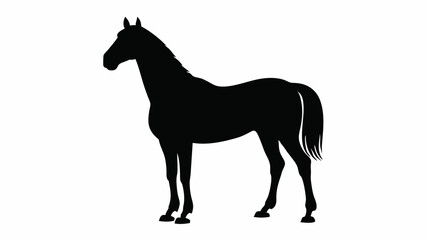 Black horse Silhouette – White Background Vector illustration Vector art of elegant black horse silhouette, a majestic equine symbol of strength and beauty isolated on white background