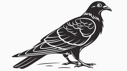 Obraz premium Black and white illustration, woodcut style, pigeon, dove, detailed feathers,, Vector art of elegant pigeon standing, a symbol of peace, hope, and urban wildlife isolated on white background