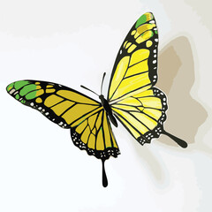 Vector Illustration Of A Bright Yellow Butterfly With Detailed Wing Patterns