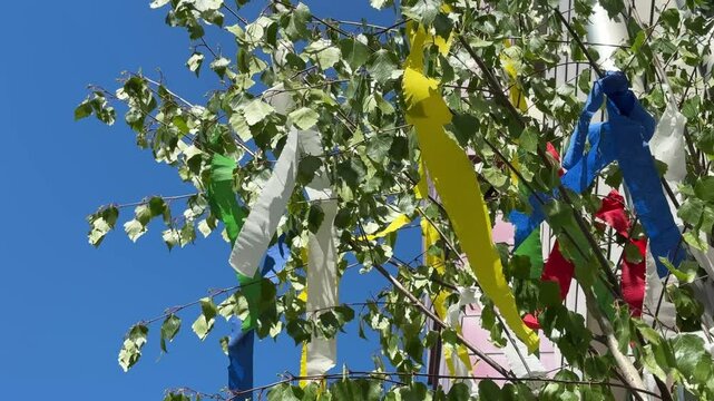 Beautiful decorated May tree on May first in Germany. Romantic tradition and gift.
