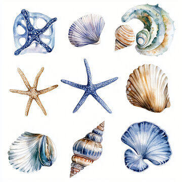 My Watercolor hand-painted collection with sea seashell painted on a white background, flat watercolor painting, simple design, AI painting design
