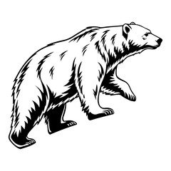 Fototapeta premium Polar Bear Illustration