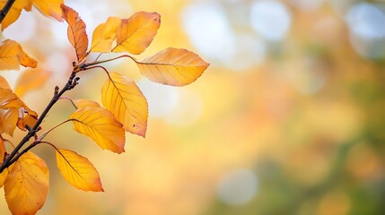 Obraz premium Close-up of autumnal branch with vibrant yellow and orange leaves, blurred bokeh background, nature photography. : Generative AI