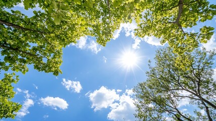 Fototapeta premium Looking up at a bright sun shining through lush green tree branches and fluffy white clouds in a vibrant blue sky, creating a serene and peaceful nature scene. : Generative AI