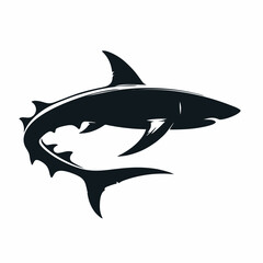 Naklejka premium A vector shark.