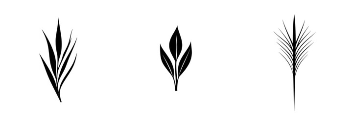 Multiple flat black icon illustrations of various leaf shapes arranged in a row on a white background for design and decoration use