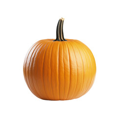 A vibrant pumpkin ready for autumn festivities, with a prominent stem. The pumpkin shows a striking orange color