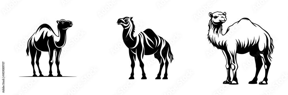 Poster flat black icons representing different types of camels in a minimalist style suitable for various d