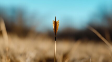 Obraz premium Single arrow with wooden shaft and brown feathers stands upright in a blurry field, under a light blue sky; a concept of accuracy, focus, and determination. : Generative AI