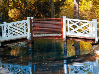 bridge in autumn