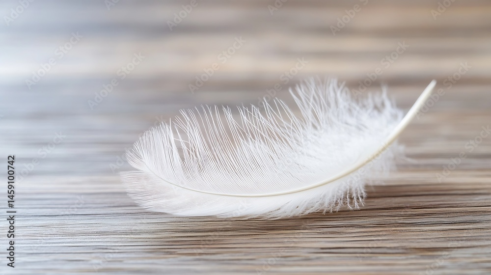 Fototapete single white feather rests gently on a rustic wooden surface, showcasing delicate texture and soft l