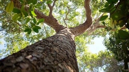 Looking up at a massive tree trunk, its rough bark textured, surrounded by vibrant green foliage and a hint of blue sky peeking through the canopy. : Generative AI