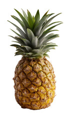 Fototapeta premium pineapple on white background