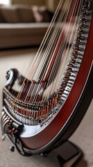 Close-up view of a decorative antique stringed instrument.